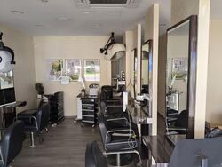 Hougang Avenue 1 (D19), Shop House #584125321